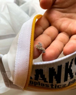 LEUS ECO WASH BAG -Dakine Shop leus washbag lint 11411.1673632261